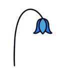 Bluebell genealogy logo